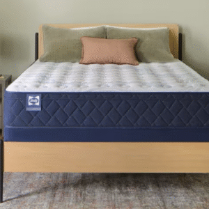 Sealy Basic Medium Euro Pillow Top Mattress