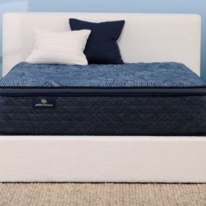 Blue-Ocean Restored Orthopedic Medium